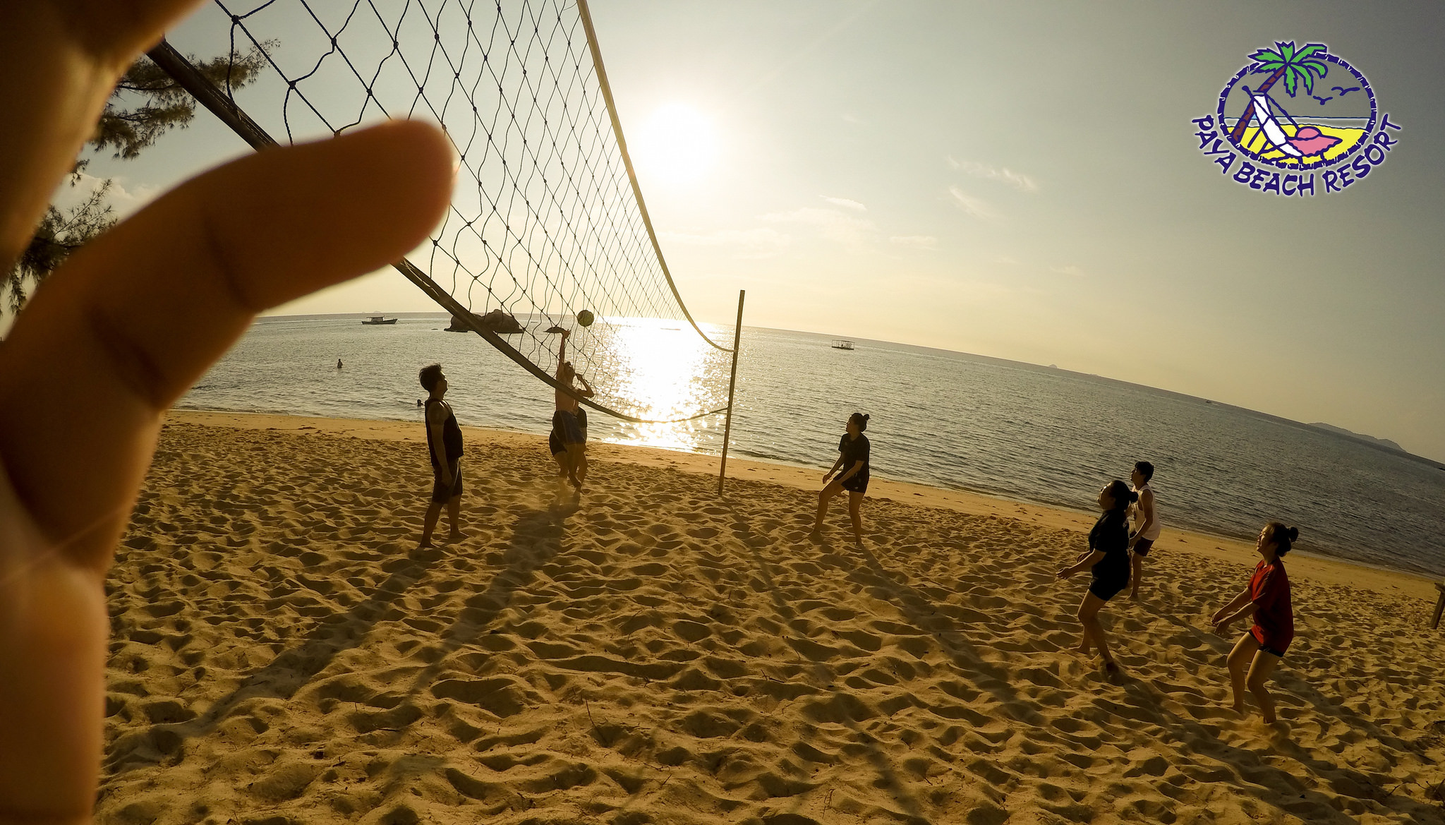 Beach Volleyball/Frisbee
