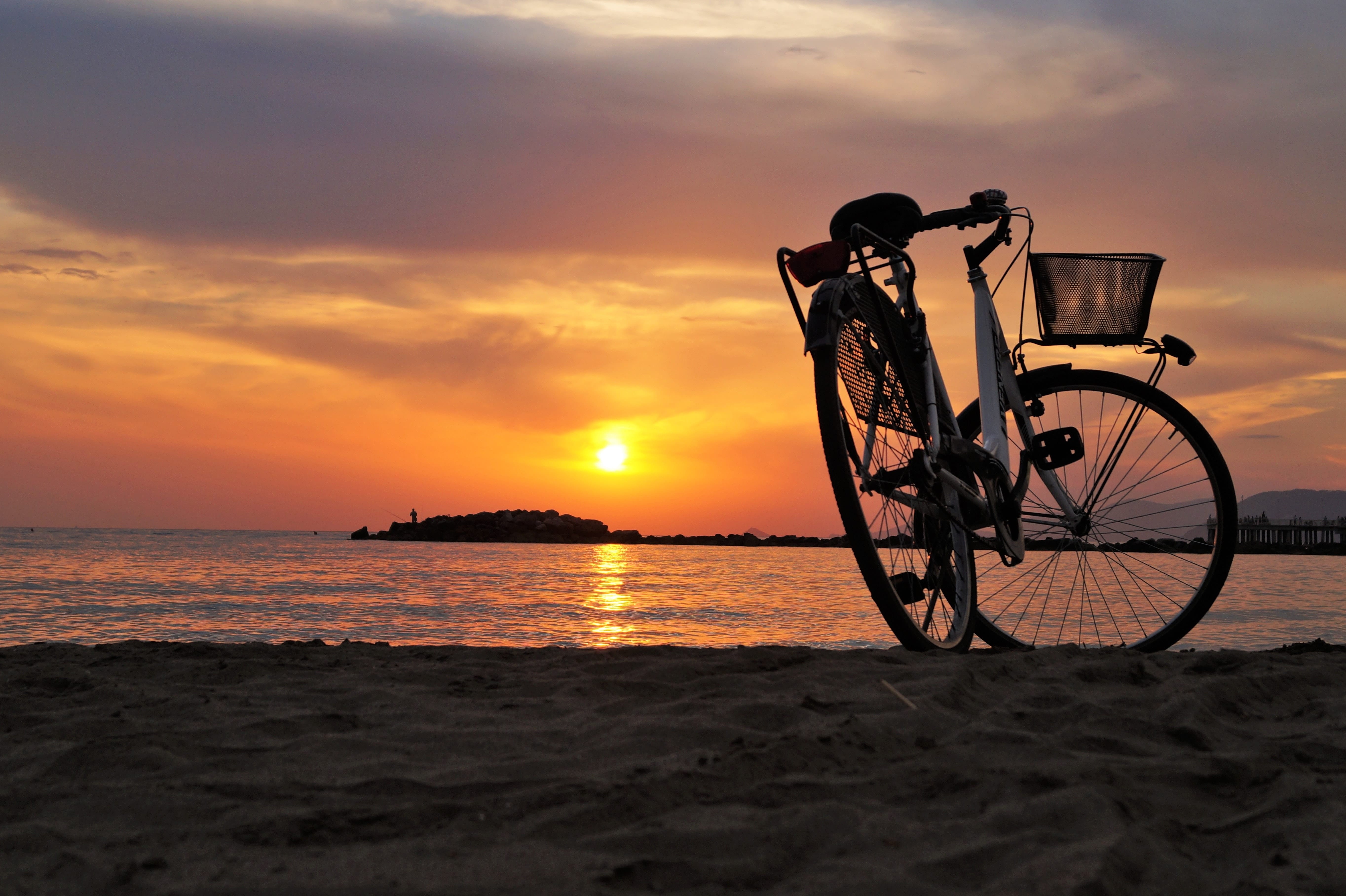 Bicycle Rental
