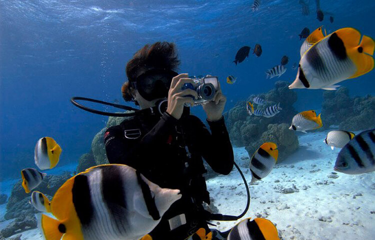 Diving
