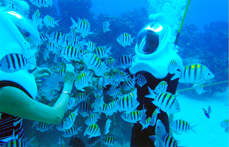 Scuba Walker