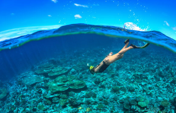 Snorkeling