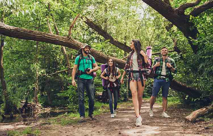 Trekking