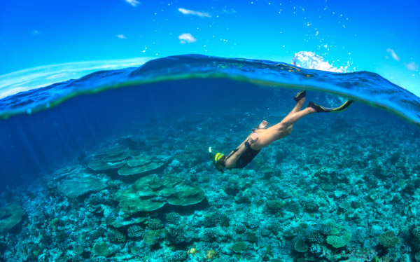 Snorkeling In Tioman